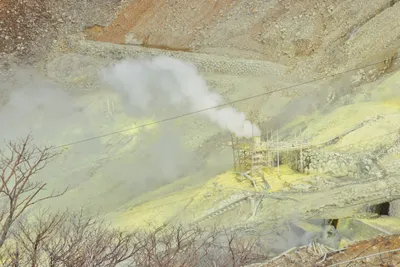 DSC_3702 (Large).JPG